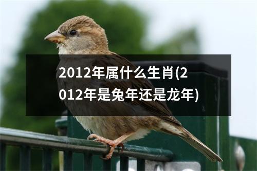 2012年属什么生肖(2012年是兔年还是龙年)