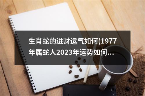 生肖蛇的进财运气如何(1977年属蛇人2023年运势如何)