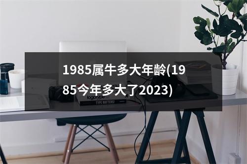 1985属牛多大年龄(1985今年多大了2023)