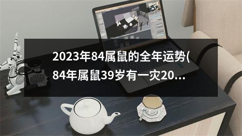 2023年84属鼠的全年运势(84年属鼠39岁有一灾2023年)