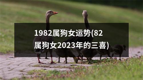 1982属狗女运势(82属狗女2023年的三喜)