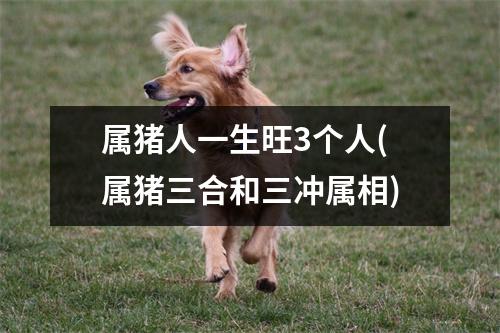 属猪人一生旺3个人(属猪三合和三冲属相)