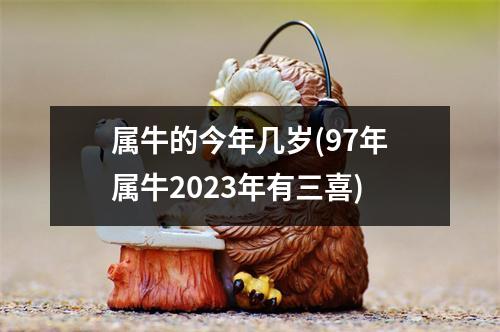 属牛的今年几岁(97年属牛2023年有三喜)