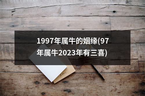 1997年属牛的姻缘(97年属牛2023年有三喜)