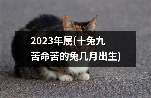 2023年属(十兔九苦命苦的兔几月出生)