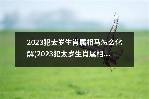 2023犯太岁生肖属相马怎么化解(2023犯太岁生肖属相什么时辰)