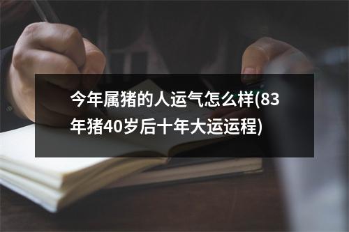 今年属猪的人运气怎么样(83年猪40岁后十年大运运程)