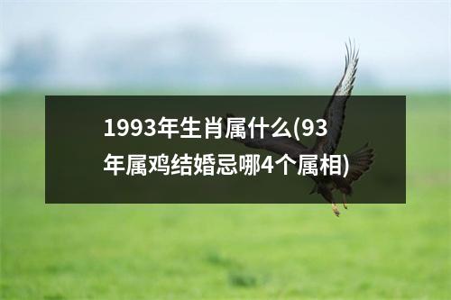 1993年生肖属什么(93年属鸡结婚忌哪4个属相)