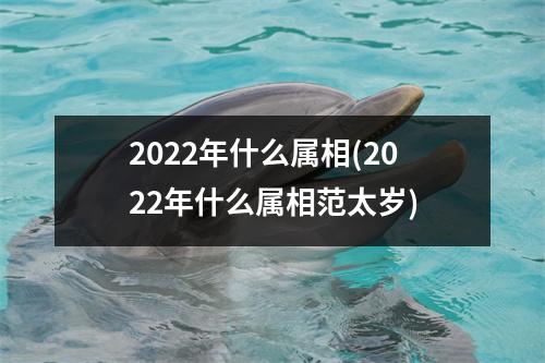 2022年什么属相(2022年什么属相范太岁)