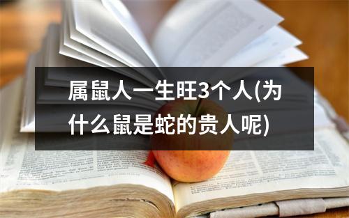 属鼠人一生旺3个人(为什么鼠是蛇的贵人呢)