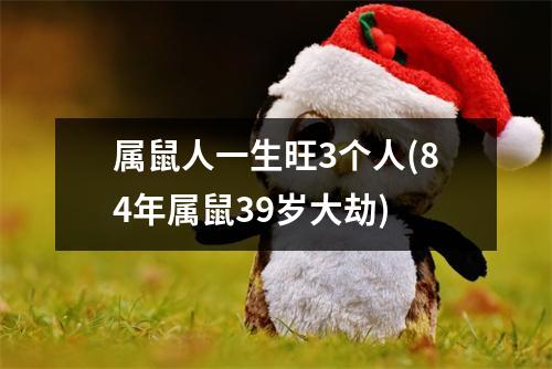 属鼠人一生旺3个人(84年属鼠39岁大劫)