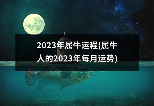 2023年属牛运程(属牛人的2023年每月运势)