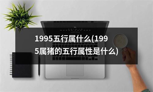 1995五行属什么(1995属猪的五行属性是什么)