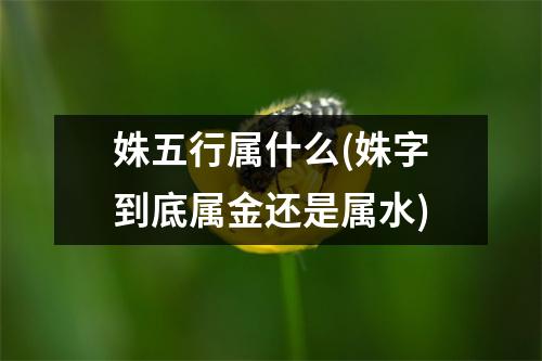 姝五行属什么(姝字到底属金还是属水)