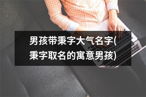 男孩带秉字大气名字(秉字取名的寓意男孩)