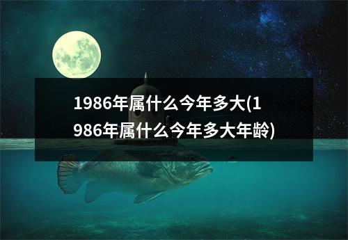 1986年属什么今年多大(1986年属什么今年多大年龄)