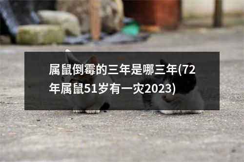 属鼠倒霉的三年是哪三年(72年属鼠51岁有一灾2023)