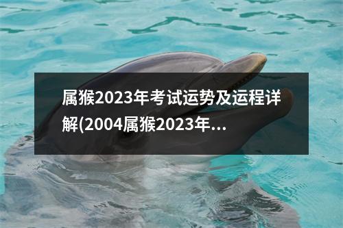 属猴2023年考试运势及运程详解(2004属猴2023年高考运)