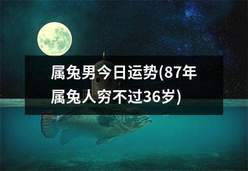 属兔男今日运势(87年属兔人穷不过36岁)