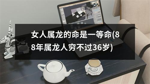 女人属龙的命是一等命(88年属龙人穷不过36岁)