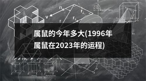 属鼠的今年多大(1996年属鼠在2023年的运程)