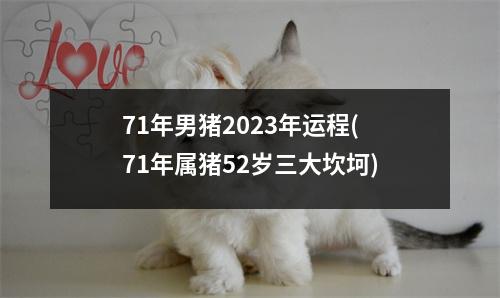 71年男猪2023年运程(71年属猪52岁三大坎坷)