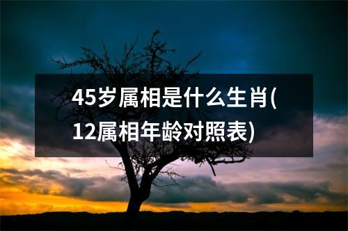 45岁属相是什么生肖(12属相年龄对照表)