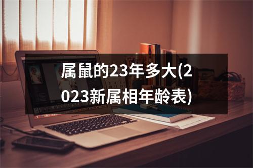 属鼠的23年多大(2023新属相年龄表)