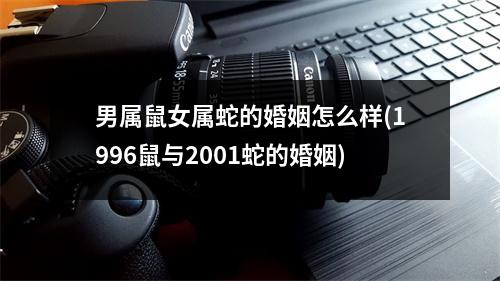 男属鼠女属蛇的婚姻怎么样(1996鼠与2001蛇的婚姻)