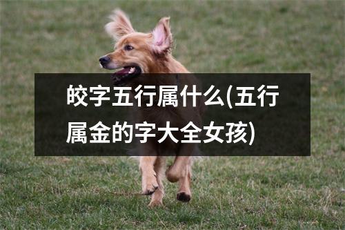 皎字五行属什么(五行属金的字大全女孩)