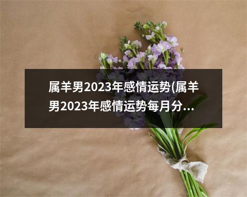 属羊男2023年感情运势(属羊男2023年感情运势每月分析)