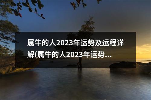 属牛的人2023年运势及运程详解(属牛的人2023年运势及运程详解1997)