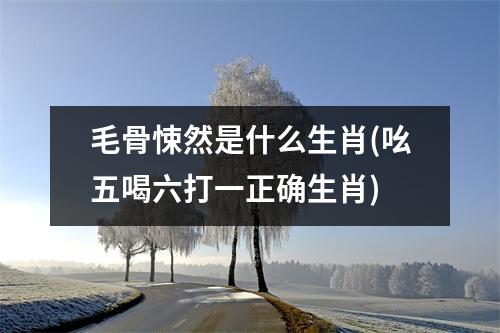 毛骨悚然是什么生肖(吆五喝六打一正确生肖)