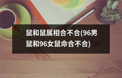 鼠和鼠属相合不合(96男鼠和96女鼠命合不合)