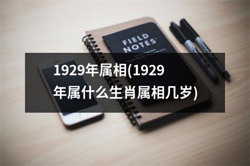 1929年属相(1929年属什么生肖属相几岁)