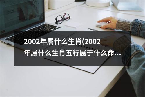 2002年属什么生肖(2002年属什么生肖五行属于什么命)