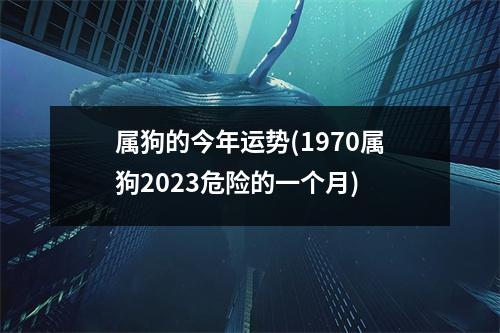 属狗的今年运势(1970属狗2023危险的一个月)