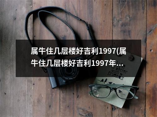 属牛住几层楼好吉利1997(属牛住几层楼好吉利1997年农历9月份)