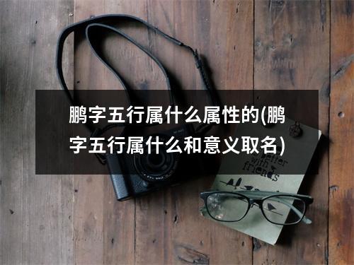 鹏字五行属什么属性的(鹏字五行属什么和意义取名)