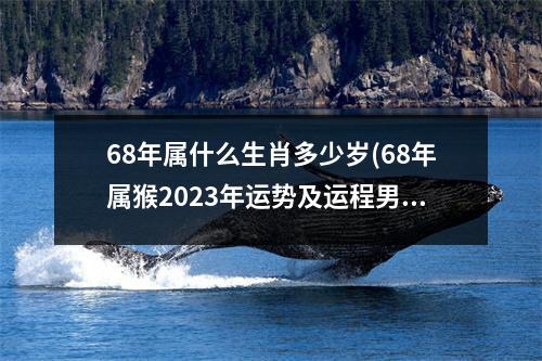 68年属什么生肖多少岁(68年属猴2023年运势及运程男性)