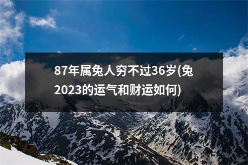 87年属兔人穷不过36岁(兔2023的运气和财运如何)