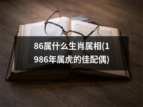 86属什么生肖属相(1986年属虎的佳配偶)