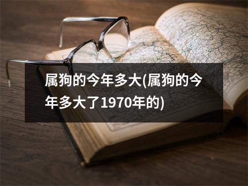 属狗的今年多大(属狗的今年多大了1970年的)