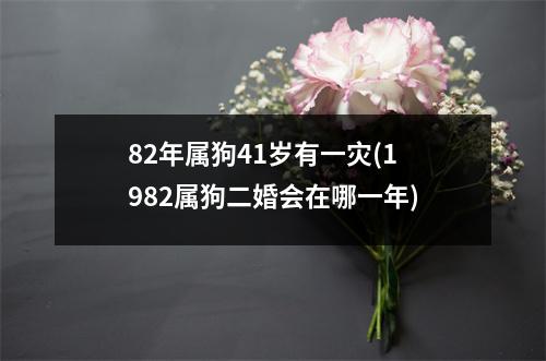 82年属狗41岁有一灾(1982属狗二婚会在哪一年)