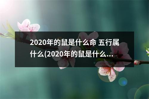 2020年的鼠是什么命 五行属什么(2020年的鼠是什么命 五行属什么起名用什么字)