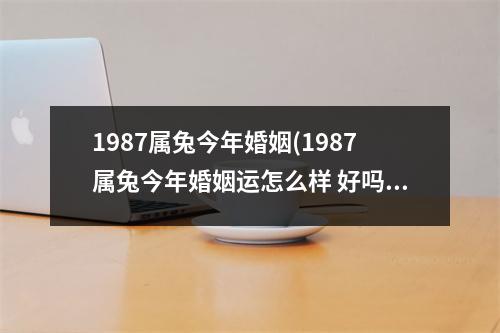 1987属兔今年婚姻(1987属兔今年婚姻运怎么样 好吗)