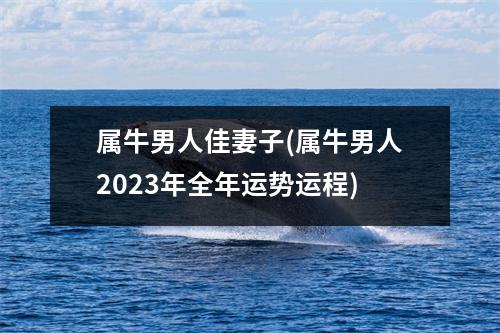 属牛男人佳妻子(属牛男人2023年全年运势运程)