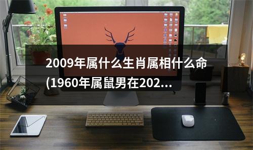 2009年属什么生肖属相什么命(1960年属鼠男在2023年怎么样)