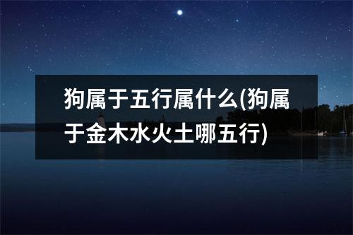 狗属于五行属什么(狗属于金木水火土哪五行)