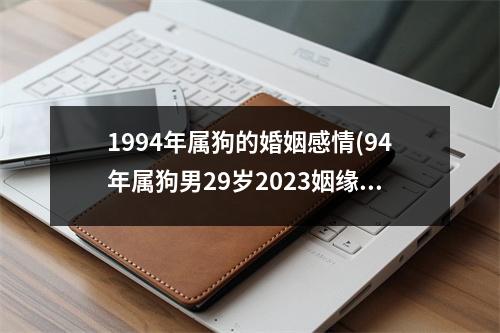 1994年属狗的婚姻感情(94年属狗男29岁2023姻缘)